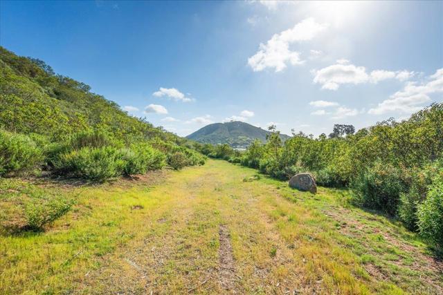 Detail Gallery Image 14 of 30 For 20545 Aguilera Ln, Escondido,  CA 92029 - – Beds | – Baths