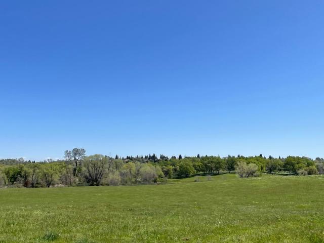 0 Cardwell Avenue, Orangevale CA: https://media.crmls.org/mediaz/62f39bcb-7112-49be-82ae-05c0e9f04e11.jpg