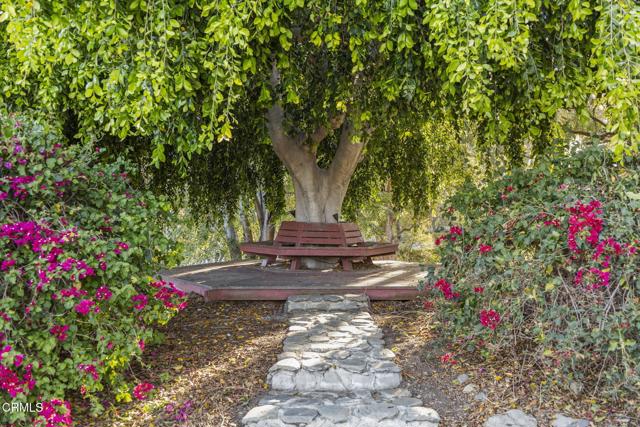 Detail Gallery Image 52 of 66 For 2061 via Montecito, Camarillo,  CA 93012 - 4 Beds | 3 Baths