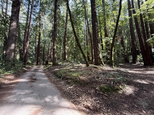 0 Slate Creek Rd., La Honda CA: https://media.crmls.org/mediaz/63023b3a-2cee-42ee-bab6-4f334717650c.jpg