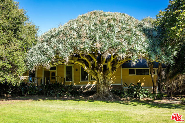 1835 Santa Monica Road, Carpinteria CA: https://media.crmls.org/mediaz/6303228b-2b0b-4a43-baef-953878a9310f.jpg
