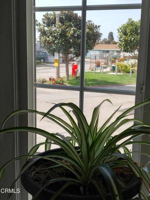 3900 E Main Street, Ventura CA: https://media.crmls.org/mediaz/6306e4a3-3c13-4a7b-b9bc-868dd7bff1e7.jpg