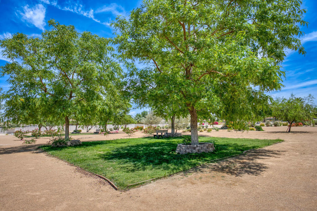 https://media.crmls.org/mediaz/630fc6e5-7d4f-41fa-bc05-ba46458ce7e8.jpg?preset=X-Large