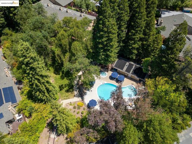 128 Alamo Sq, Alamo CA: https://media.crmls.org/mediaz/63109fc1-020b-4ebc-a579-ac5a2d49655d.jpg