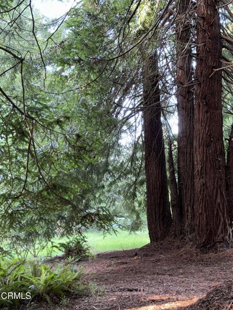 31750 Pudding Creek Road, Fort Bragg CA: https://media.crmls.org/mediaz/63155239-e1c2-45d7-bfad-f6edd69435fd.jpg