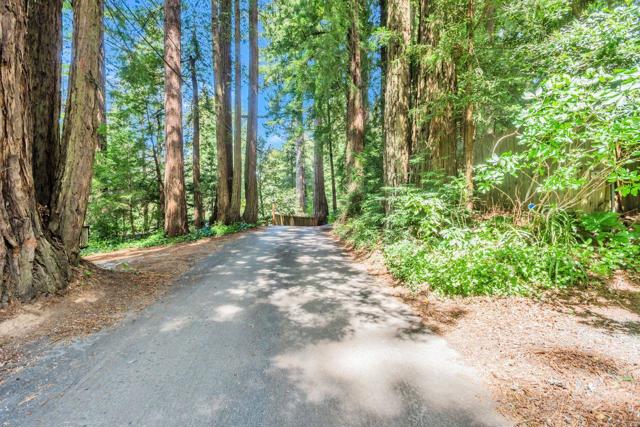 0 Big Tree Way, Woodside CA: https://media.crmls.org/mediaz/6316acdd-1989-41ac-b33a-622b56ad4319.jpg