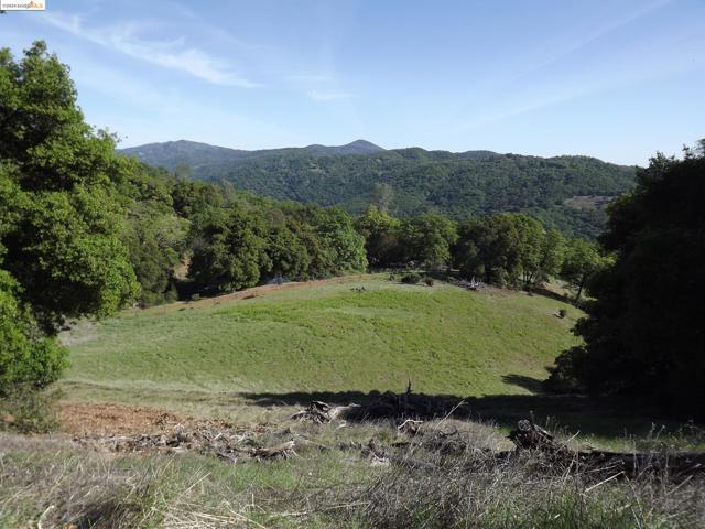 Image 2 of 11 For 39305 Pine Mountain Road