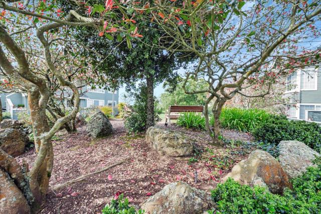 1308 Danberry Lane, Daly City CA: https://media.crmls.org/mediaz/63260003-5d38-48ec-8241-20452fb89f32.jpg