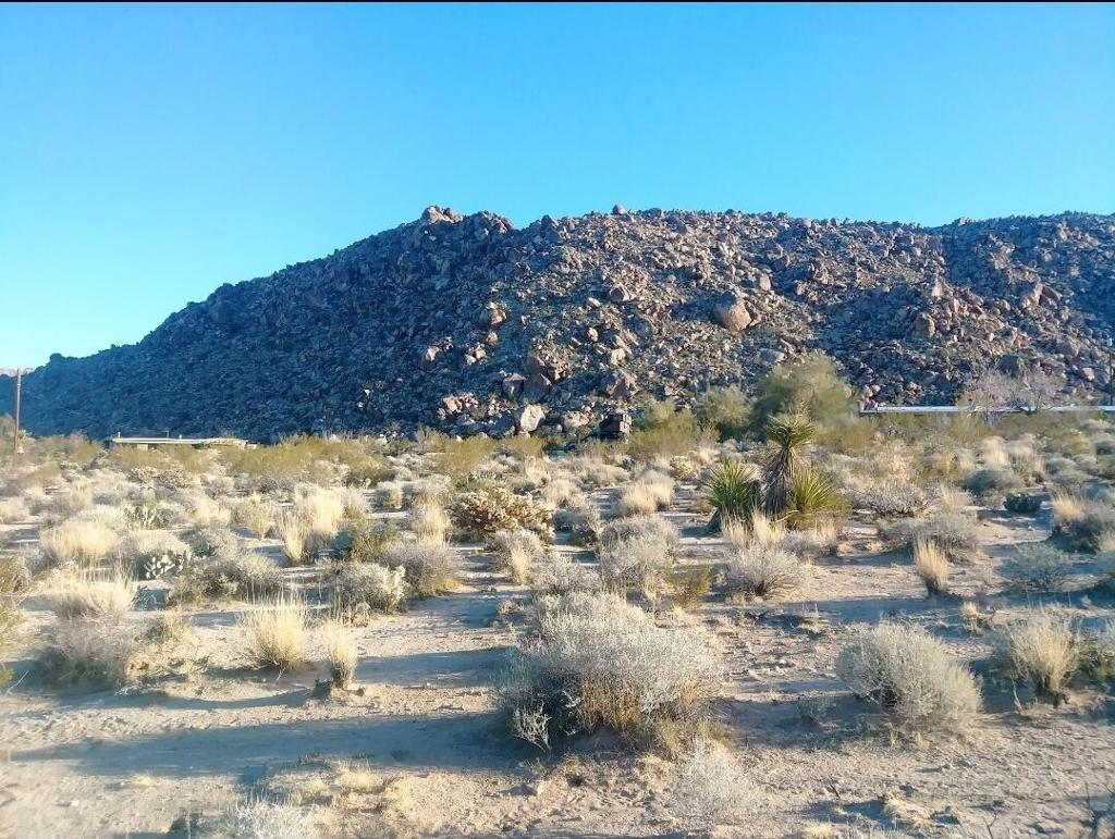 MLS #219137042PS image #8