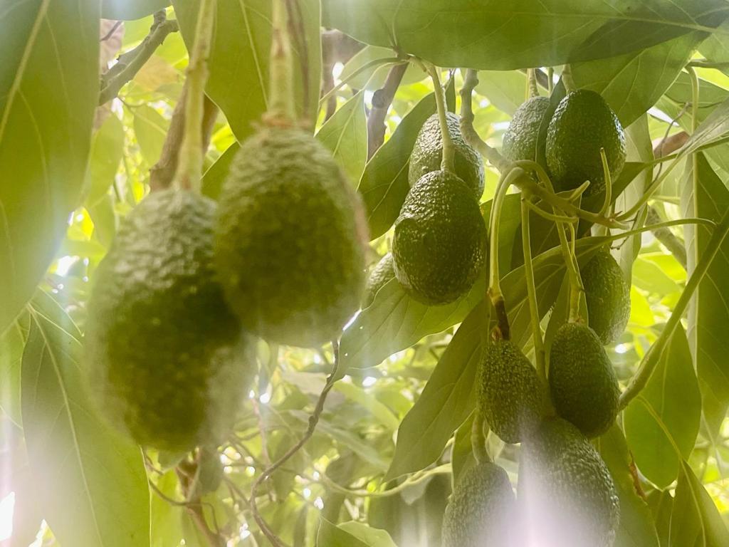 https://media.crmls.org/mediaz/6329db8e-102b-4b2c-b85b-791857fa47dd.jpg?preset=X-Large