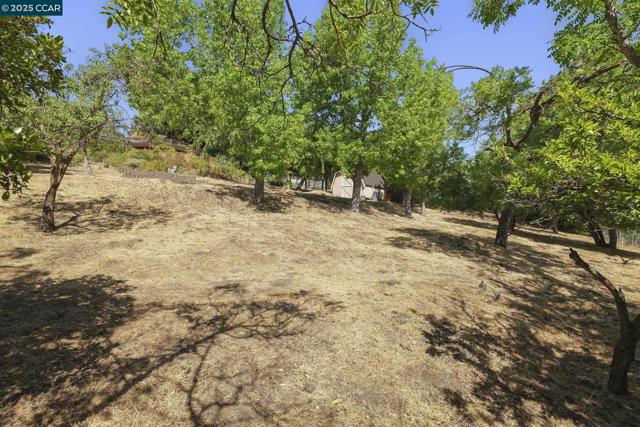 68 Terrace Rd, Walnut Creek CA: https://media.crmls.org/mediaz/633b41f0-2dd5-4333-a2df-f3861c8c4d2a.jpg