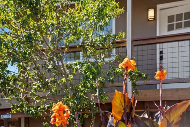 221 Carey Avenue, Freedom CA: https://media.crmls.org/mediaz/634eca36-ae7c-4ae4-863a-ebb942335b06.jpg