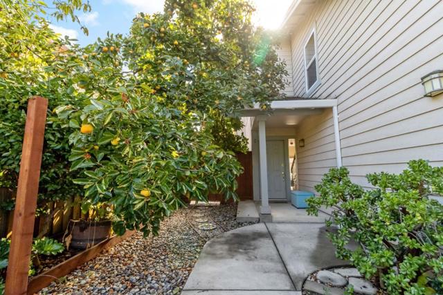 1928 North Star Place, San Jose CA: https://media.crmls.org/mediaz/63500857-3eea-46c6-87de-57e50407b914.jpg