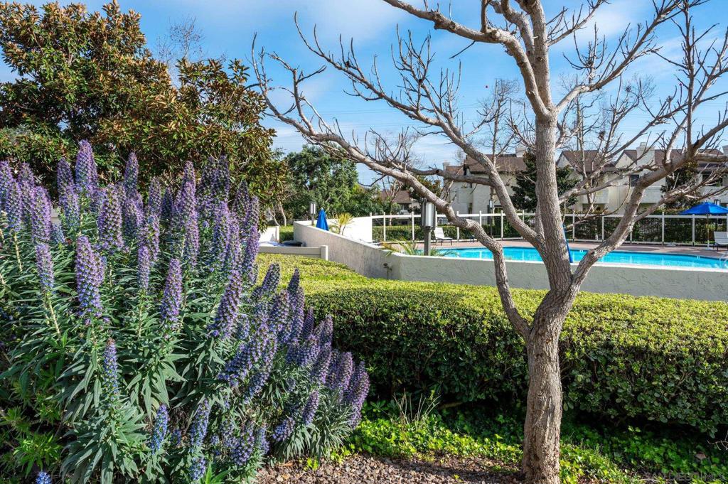 MLS #250037852SD image #35