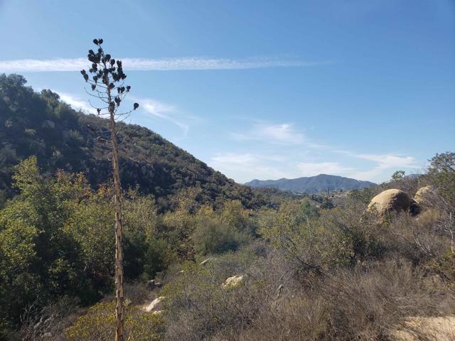 0 Daily, Fallbrook, California 92028, ,Residential Land,For Sale,Daily,NDP2206949