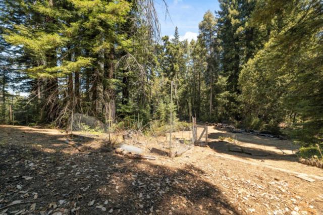 2472 Fanning Grade, Ben Lomond CA: https://media.crmls.org/mediaz/636a0870-6e46-4a19-b3a2-3cc99b9ca800.jpg