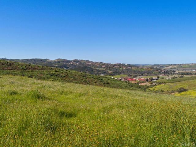 0 Chisholm Trail, Bonsall, California 92003, ,Land,For Sale,0 Chisholm Trail,CRNDP2400890