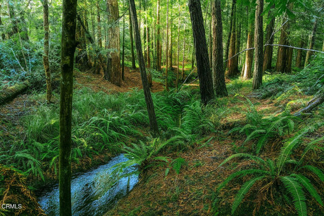 Detail Gallery Image 7 of 16 For 43535 Comptche Ukiah Rd, Mendocino,  CA 95460 - – Beds | – Baths