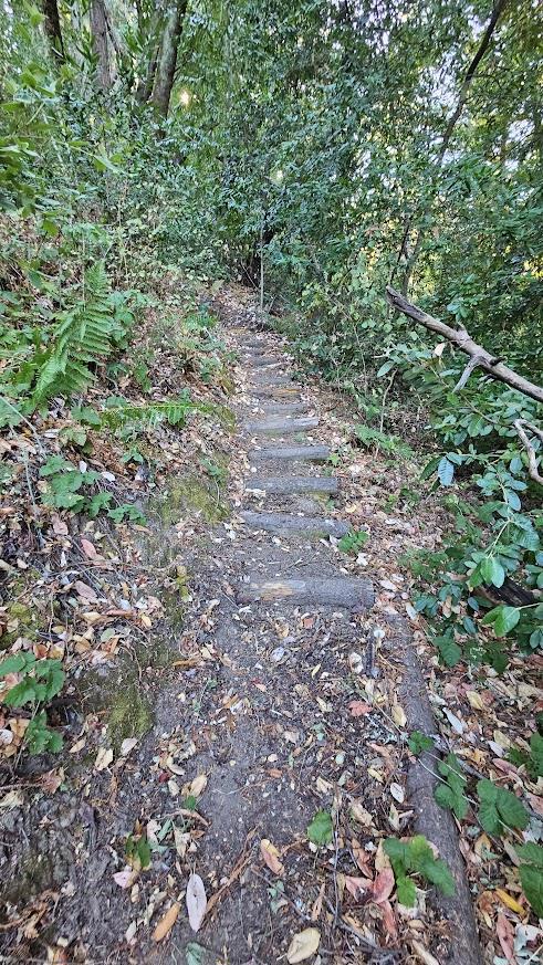 20245 Gist Road, Los Gatos CA: https://media.crmls.org/mediaz/637df4cb-92b8-4927-a22d-f9da1fa3dc32.jpg