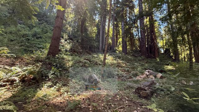 15645 Stetson Road, Los Gatos CA: https://media.crmls.org/mediaz/63858965-d818-4380-b14e-d390ba35d9c0.jpg