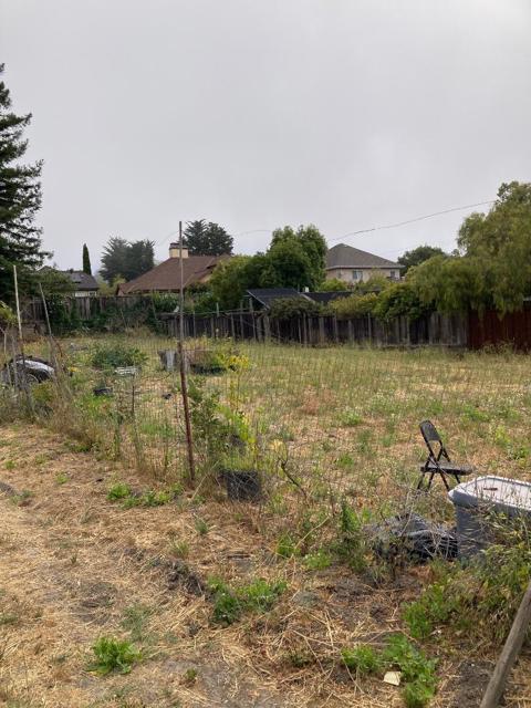 514 Meder Street, Santa Cruz CA: https://media.crmls.org/mediaz/6386faea-9629-42c0-b004-2ff1c66f7435.jpg