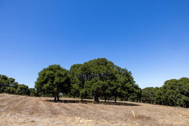 8160 Manjares, Monterey CA: https://media.crmls.org/mediaz/63898a22-6017-40b8-a4e4-7b0390d9cf39.jpg