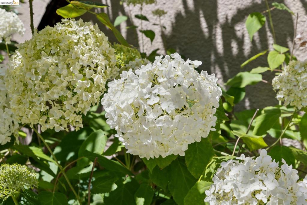 https://media.crmls.org/mediaz/638dbc8f-a0d2-4a9d-9e71-5b8f0cdc7b2f.jpg?preset=X-Large