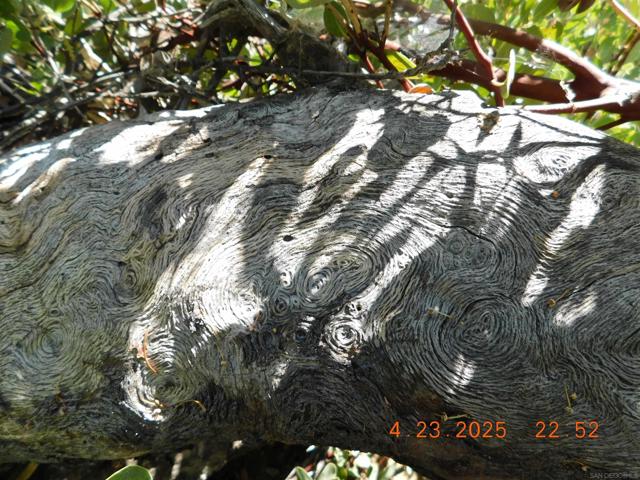 0 San Felipe Rd,  CA: https://media.crmls.org/mediaz/6391558c-2e13-4415-b071-20db48797ae1.jpg