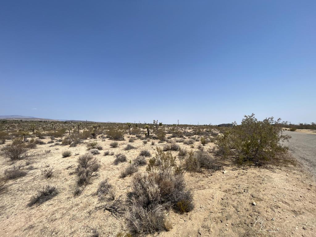 MLS #219132715DA image #5