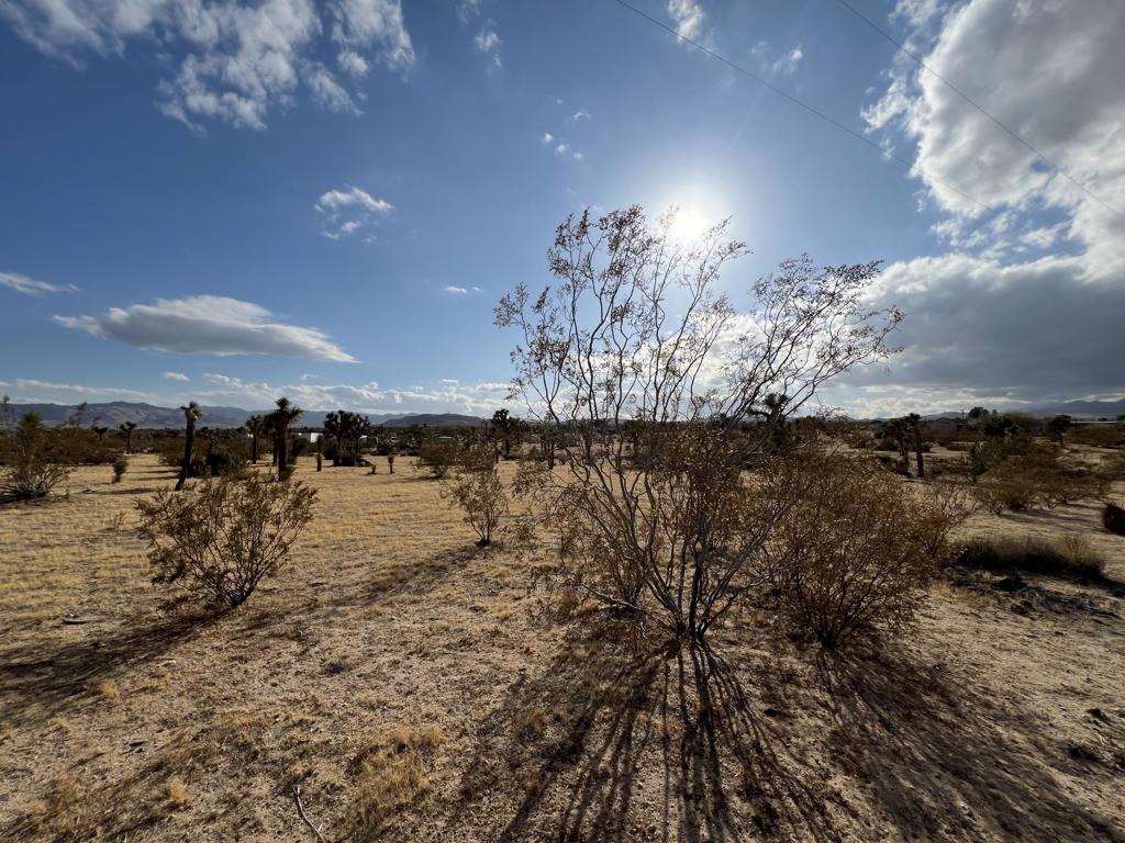 MLS #219138998DA image #13