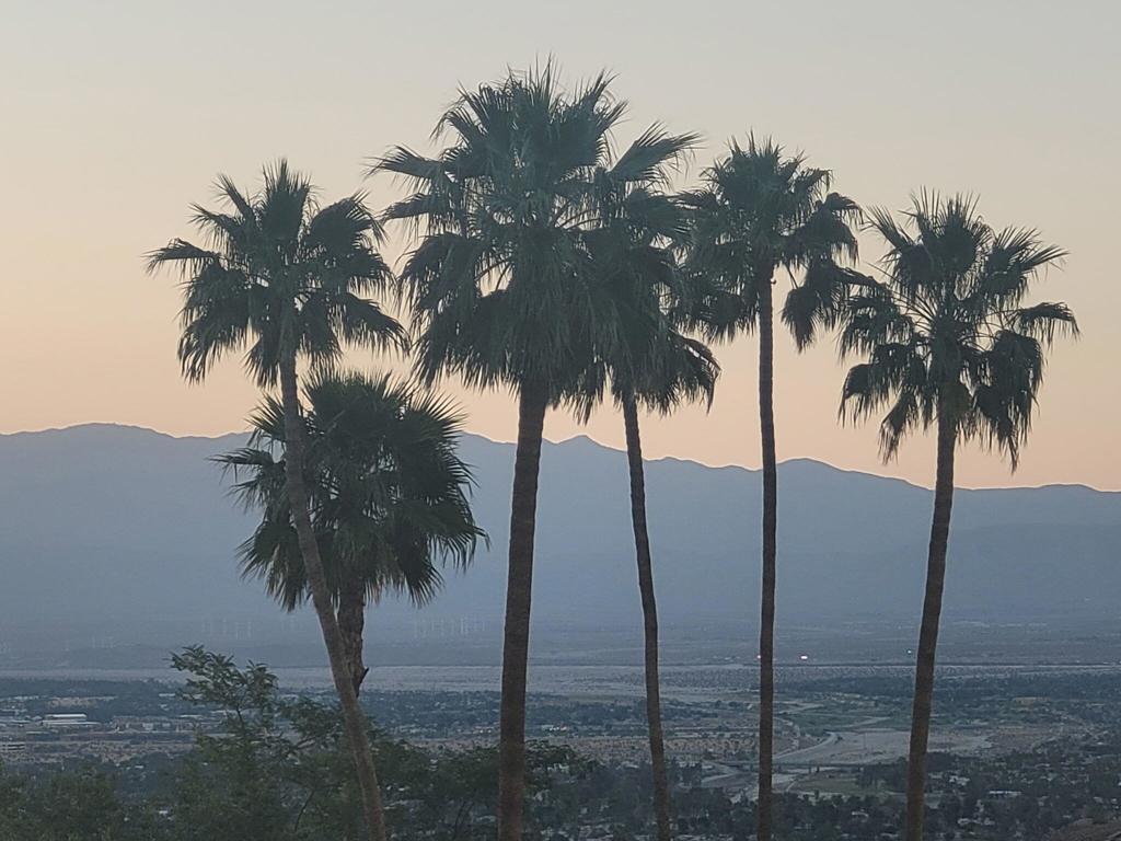 MLS #219139256DA image #45