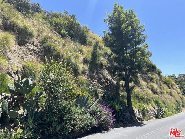 6053 Rodgerton Drive, Los Angeles CA: https://media.crmls.org/mediaz/63a36f9c-f5cb-4aa1-985d-0f94ba9fa8d0.jpg