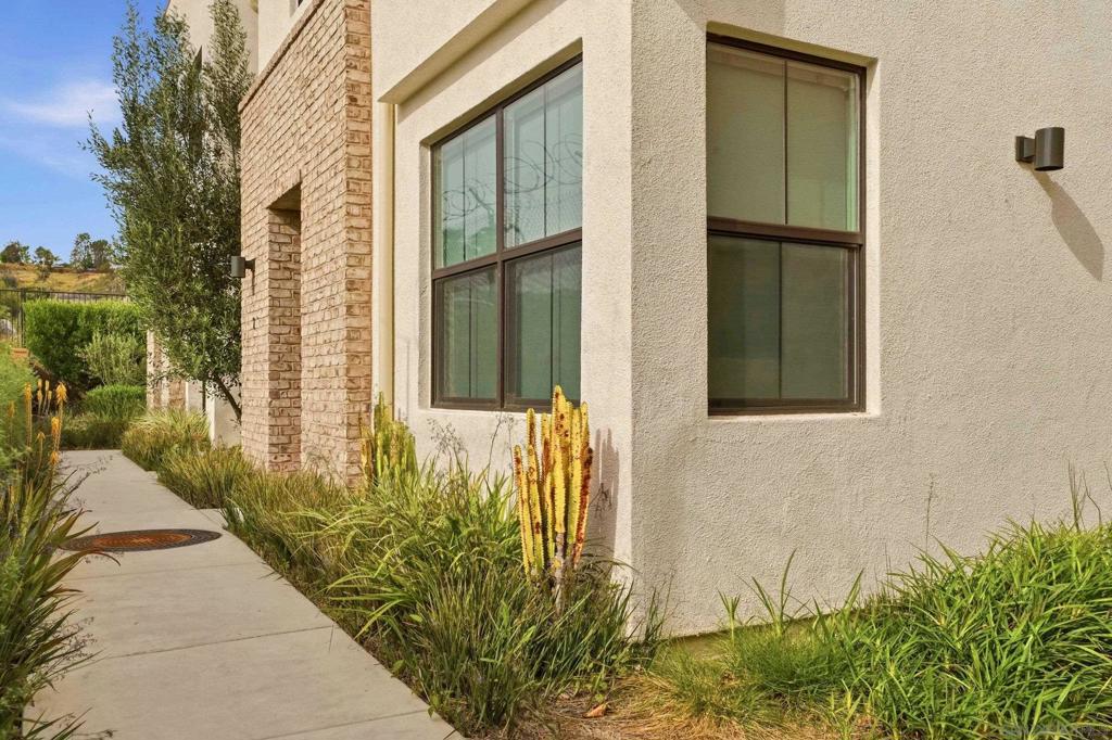 13068 Olympus - photo 2