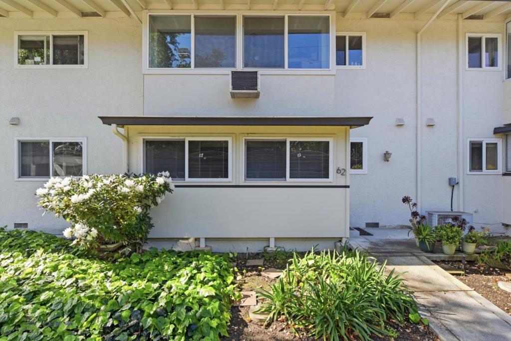 14225 Lora #62