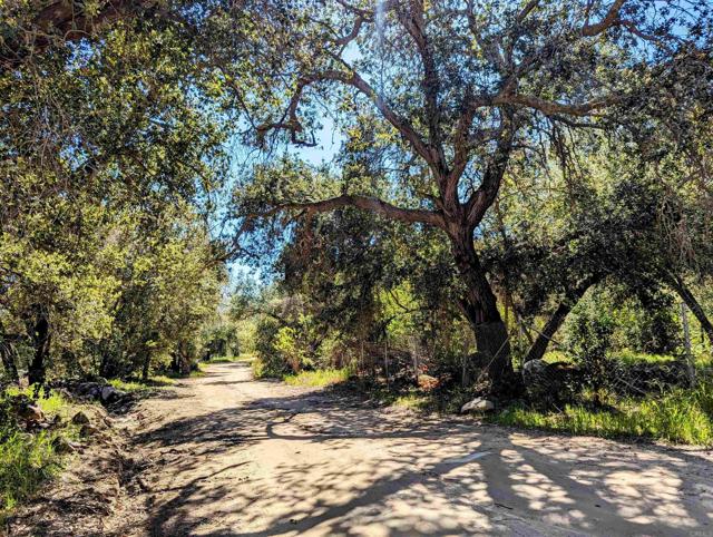 41822 De Luz, Fallbrook, California 92028, ,Residential Land,For Sale,De Luz,NDP2405719