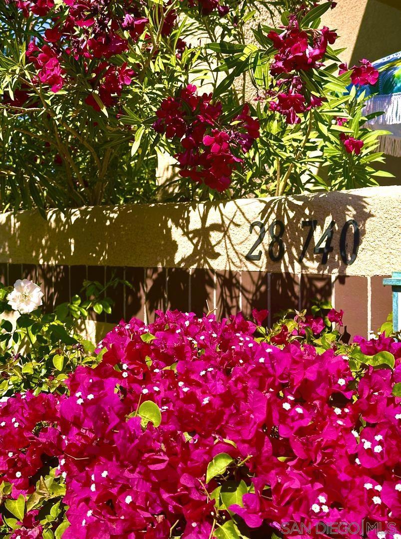 MLS #250043227SD image #29