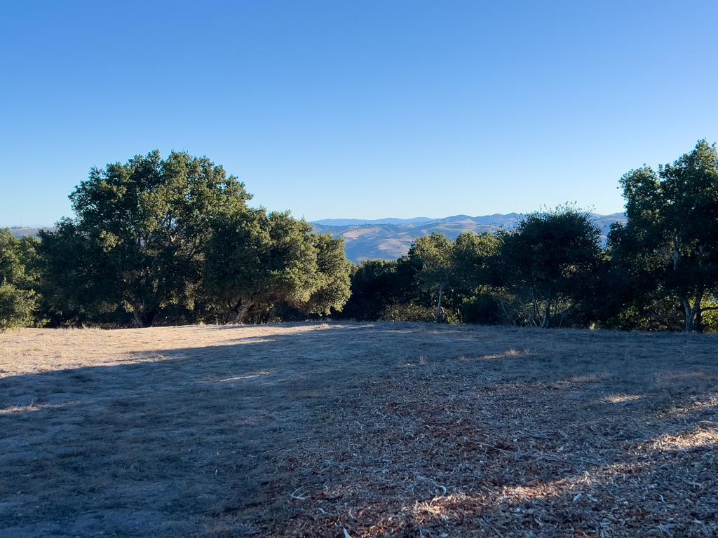 MLS #ML81990616 image #21