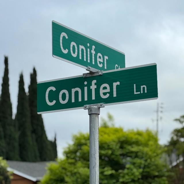 1927 Conifer Lane, San Jose CA: https://media.crmls.org/mediaz/63bdbd25-2a9e-41f5-9287-8c5578539d68.jpg