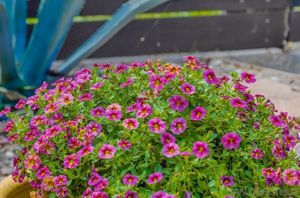 MLS #250036039SD img 52