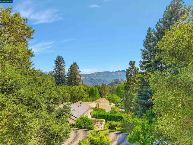 23 El Verano, Orinda CA: https://media.crmls.org/mediaz/63c18964-3816-4f29-8cd7-23885291bcc2.jpg