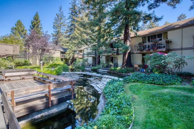 505 Cypress Point Drive, Mountain View CA: https://media.crmls.org/mediaz/63c1f838-de72-4ebf-bb9b-cf9c093d7976.jpg