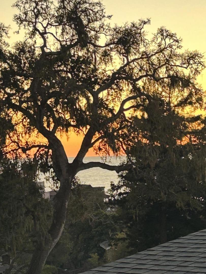 https://media.crmls.org/mediaz/63c6cef0-04ba-4801-90b7-b621ba1dff0a.jpg?preset=X-Large