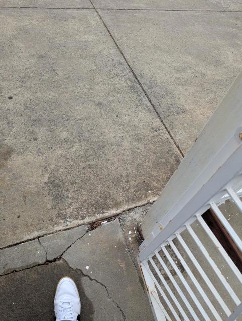 250 Schafer Road, Hayward CA: https://media.crmls.org/mediaz/63c8895e-7d4a-482c-9903-3ac6c35f4da0.jpg