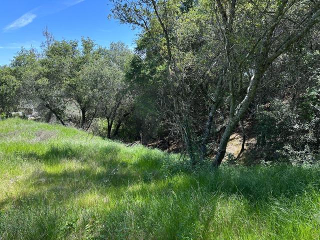 Image 2 of 19 For 0 El Caminito Road