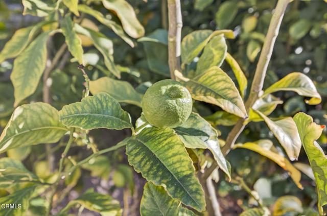 Detail Gallery Image 37 of 51 For 2914 Naples Dr, Oxnard,  CA 93035 - 3 Beds | 2 Baths