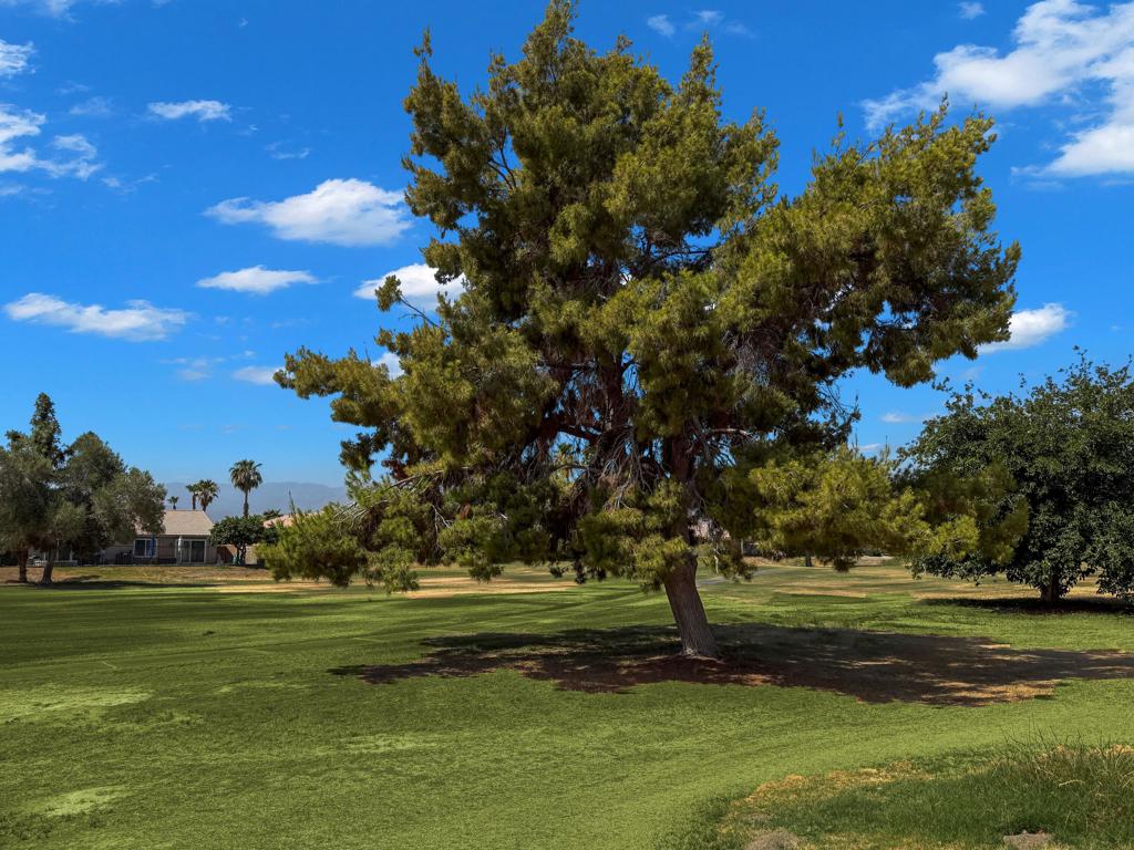 MLS #219137908DA image #19