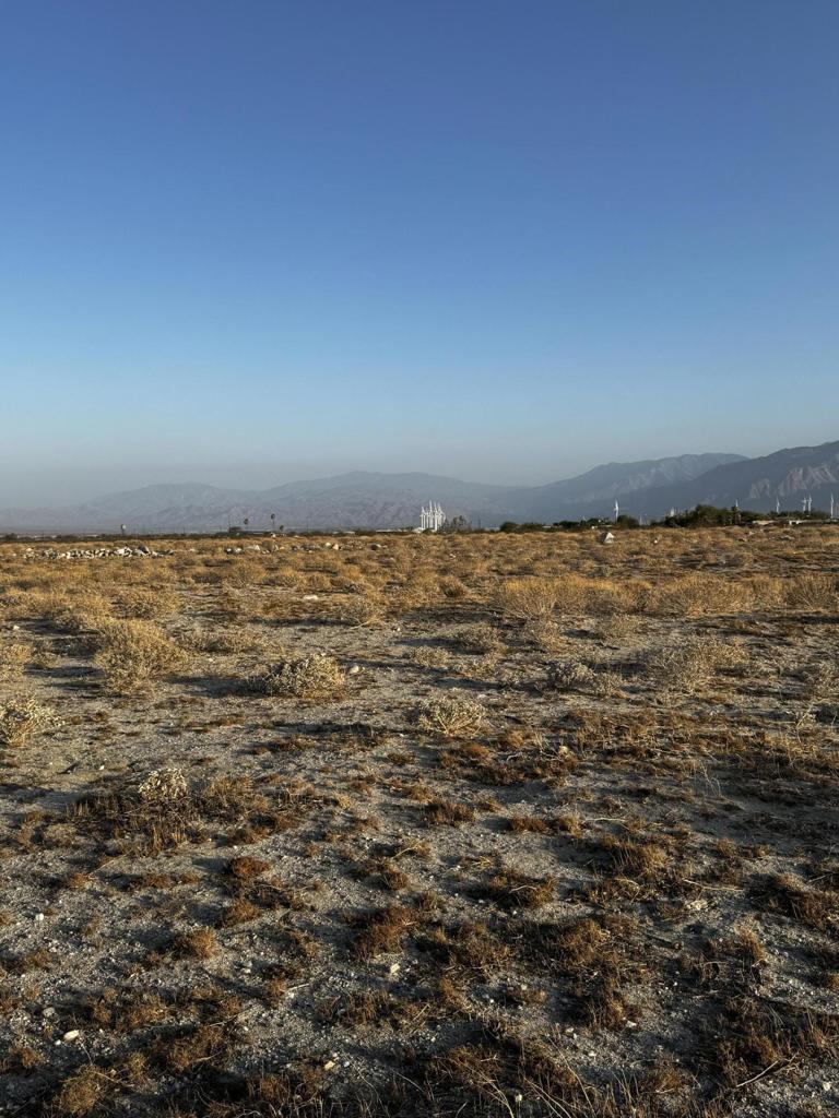 MLS #219131899DA image #1