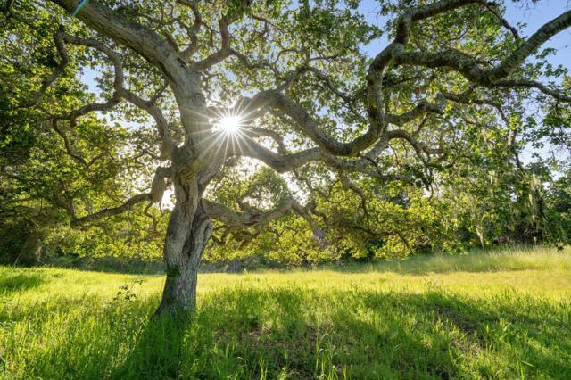 23 Tehama (Homesite 40), Carmel CA: https://media.crmls.org/mediaz/63e68c4a-e5c4-4aa0-a7c7-f0dd94623030.jpg