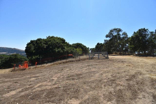 0 Alexander Lane, San Juan Bautista CA: https://media.crmls.org/mediaz/63f2aa4a-9b53-4e81-b0b5-647900487db0.jpg