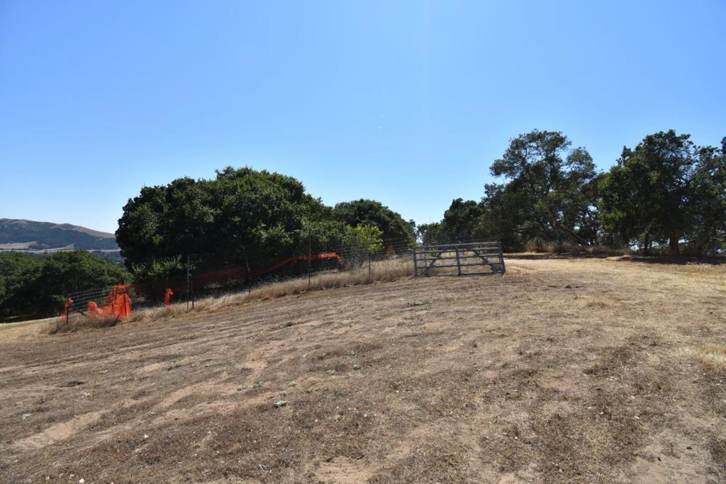 MLS #ML81994433 image #27